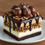 Chocolate Pecan Truffle Cake Recipe