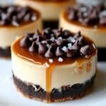 Irresistible Salted Caramel Chocolate Chip Cheesecakes Recipe